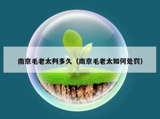 南京毛老太判多久（南京毛老太如何处罚）