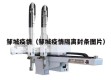 邹城疫情（邹城疫情隔离封条图片）