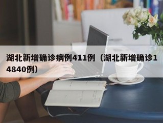 湖北新增确诊病例411例（湖北新增确诊14840例）